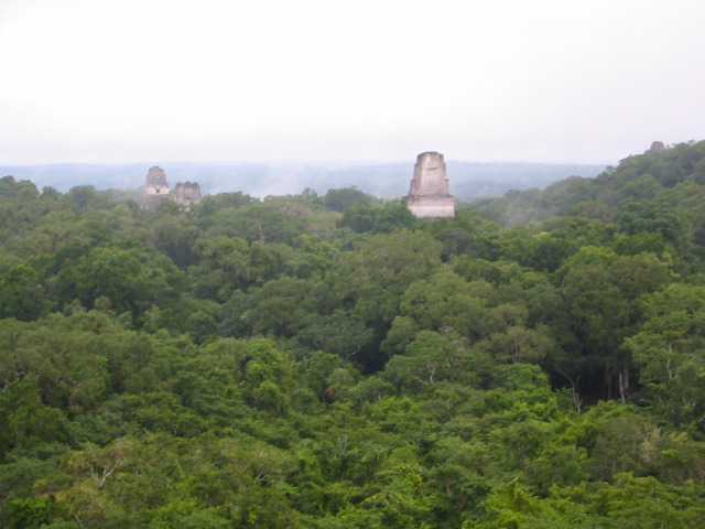 From the top of Temple #4