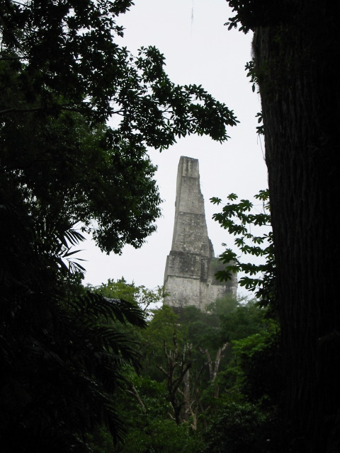 Through trees