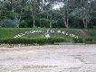 Border of Belize and Guatemala