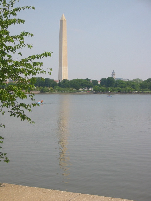 IMG_2822.JPG