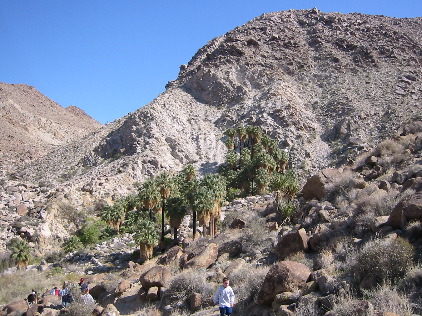 49 Palms Oasis