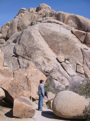 William Was Looking At Something