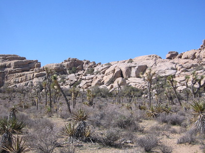 Hidden Valley