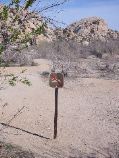Hey! No Swimming!