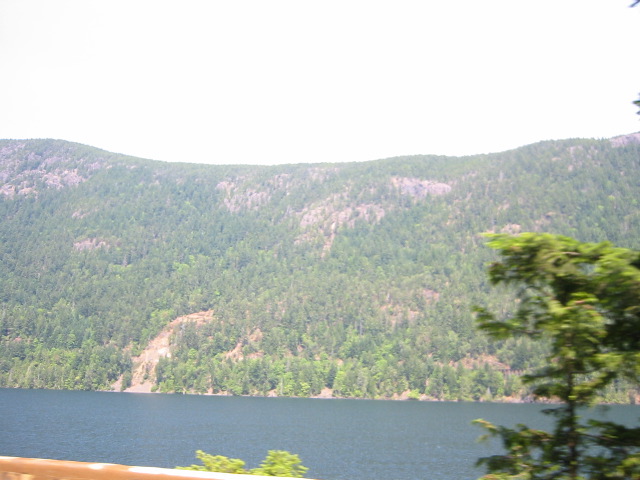 IMG_3043.JPG