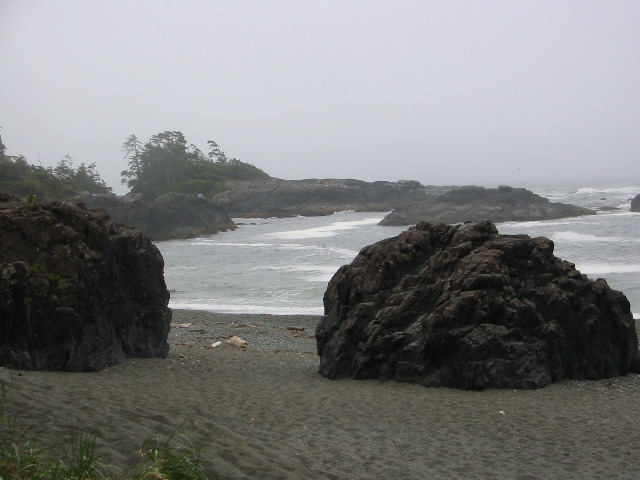IMG_3200.JPG