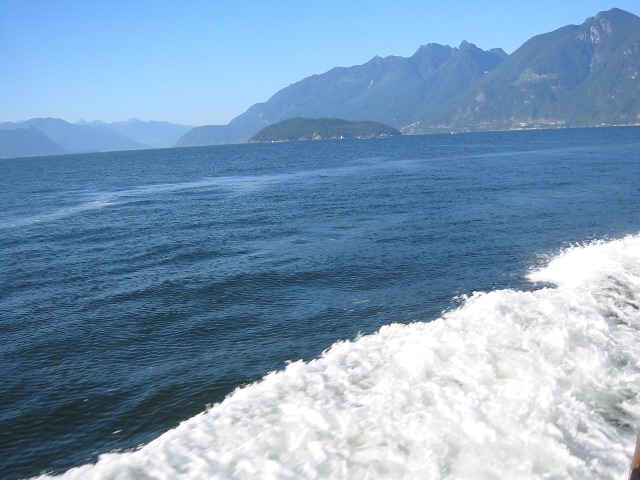 IMG_3259.JPG
