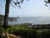 IMG_3123.JPG
