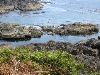 IMG_3126.JPG
