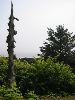 IMG_3140.JPG