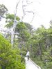 IMG_3187.JPG