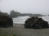 IMG_3200.JPG