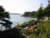 IMG_3066.JPG